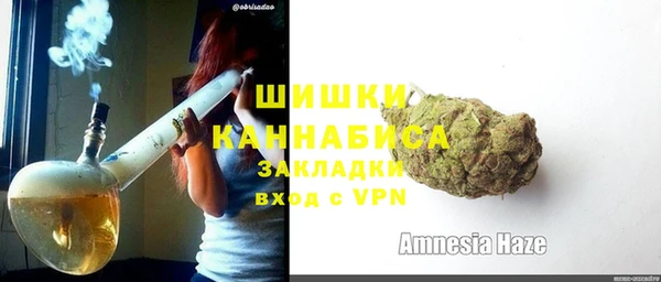 гашик Ладушкин
