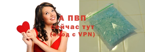 гашик Ладушкин