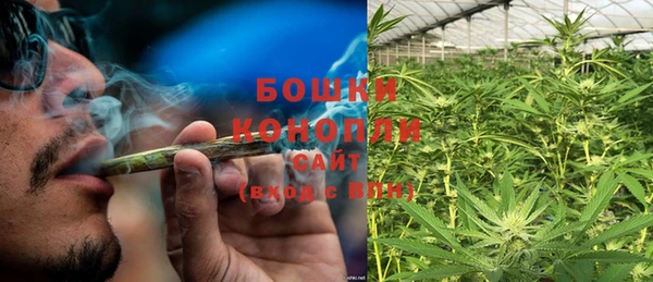 гашик Ладушкин