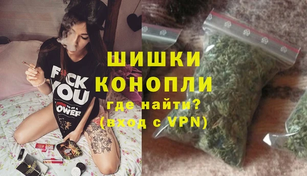 гашик Ладушкин
