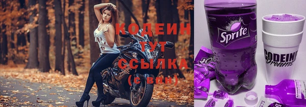 гашик Ладушкин