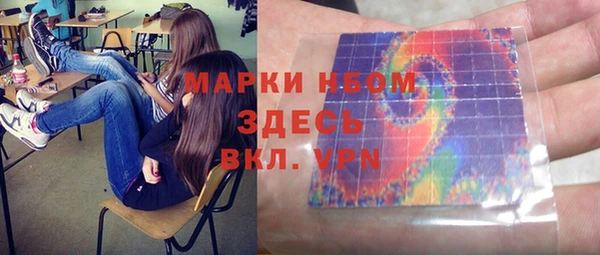 гашик Ладушкин
