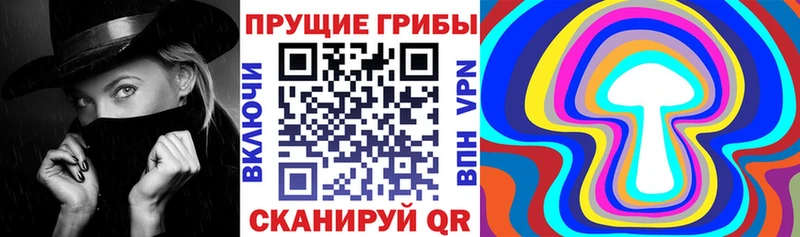 OMG маркетплейс  Торопец  Галлюциногенные грибы мицелий 