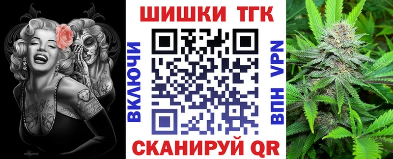 Бошки марихуана THC 21%  купить наркоту  Торопец 